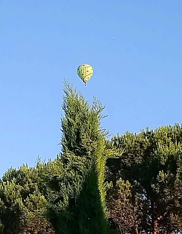 Fleurs De Cosmos Bed and Breakfast Αλμπί Εξωτερικό φωτογραφία